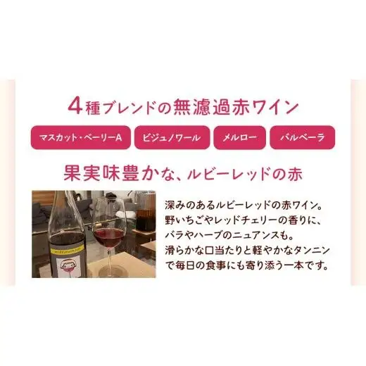 歩wine wild flower2025 ( 750ml )