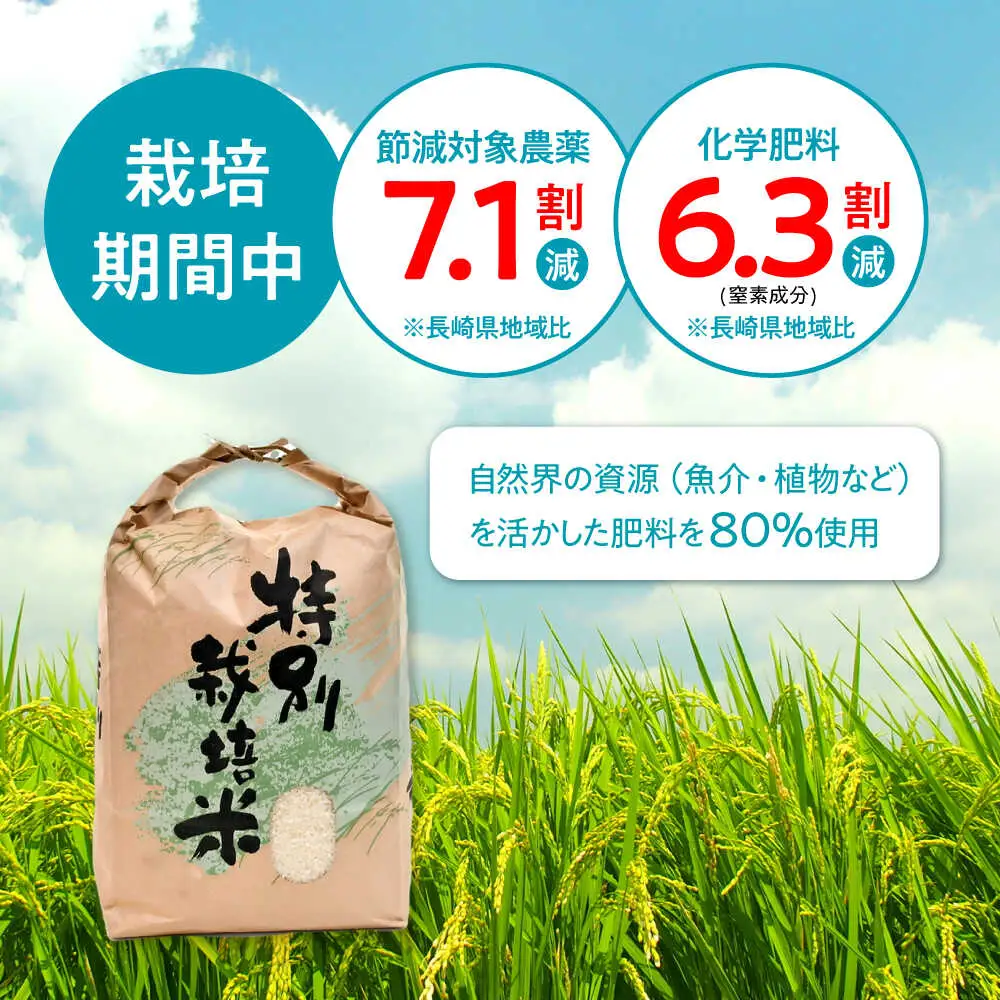 【R7年産】九州のこだわり「にこまる」白米 4.5kg / 米 こめ コメ お米 おこめ 白米 精米 白ご飯 にこまる ニコマル 長崎県産 / 諫早市 / 上島農産[AHAS012]