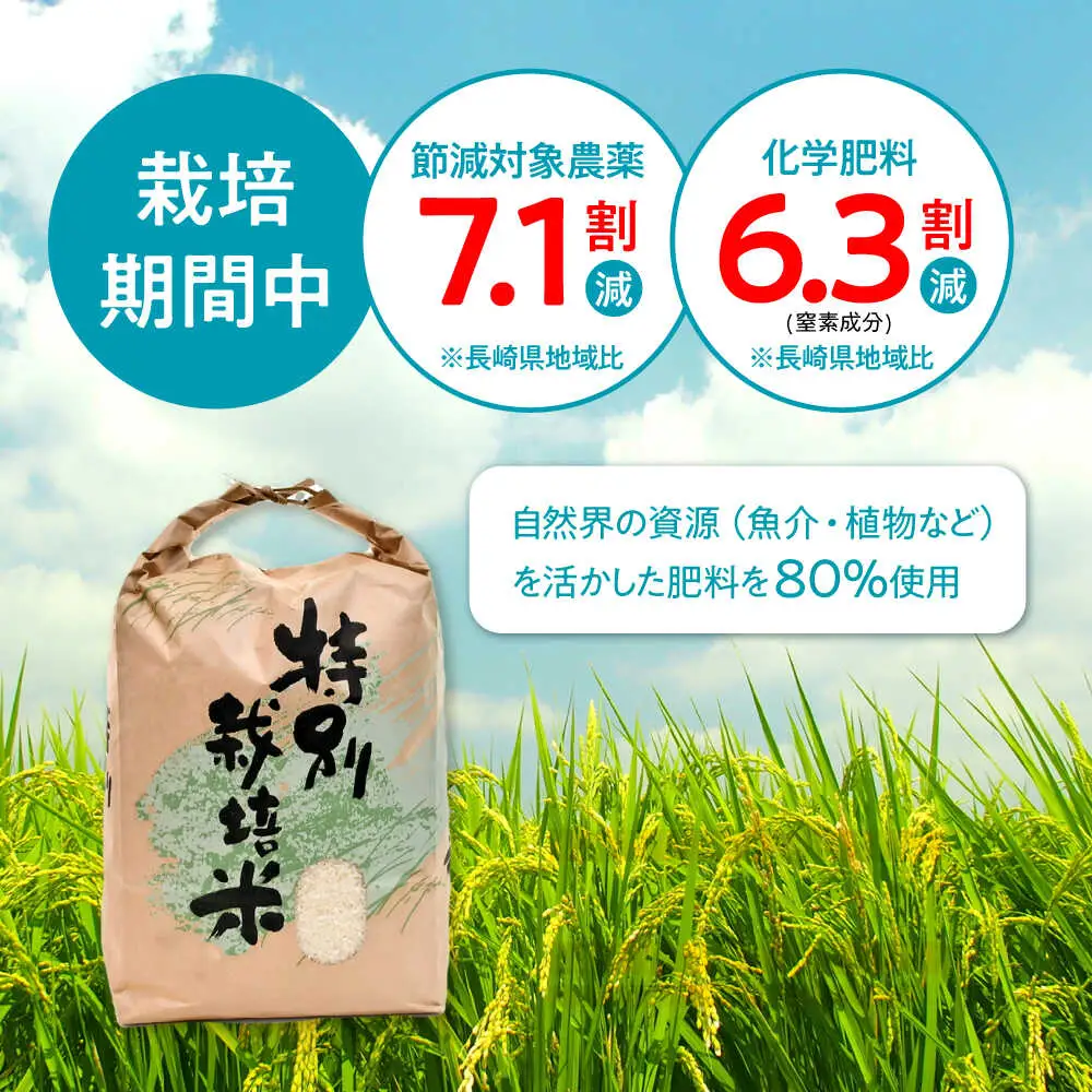 【R7年産】九州のこだわり「ひのひかり」白米 4.5kg / 米 こめ コメ お米 おこめ 白米 精米 白ご飯 ひのひかり ヒノヒカリ 長崎県産 / 諫早市 / 上島農産[AHAS014]