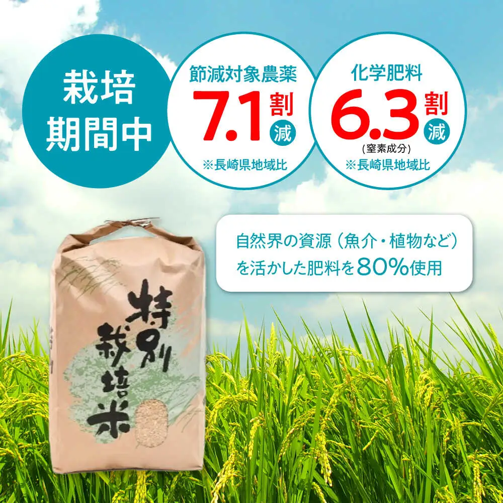 【R7年産】九州のこだわり「ひのひかり」玄米 5kg / 米 こめ お米 おこめ 玄米 げんまい ひのひかり ヒノヒカリ 長崎県産 / 諫早市 / 上島農産[AHAS015]