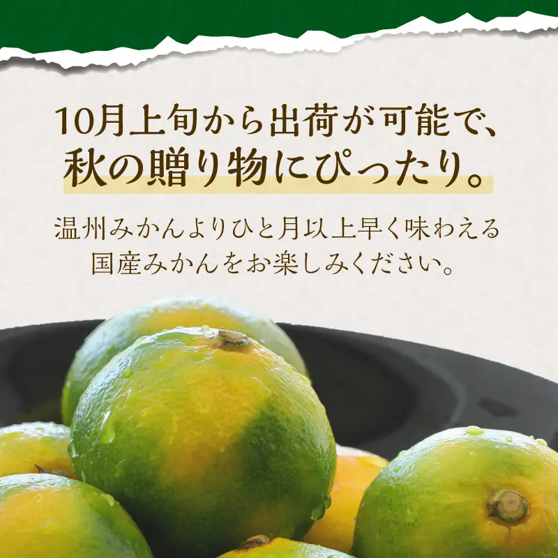 御坊市・日高川町・由良町産 ゆら早生みかん（ゆらっ子）5kg《先行予約》【0552-3】