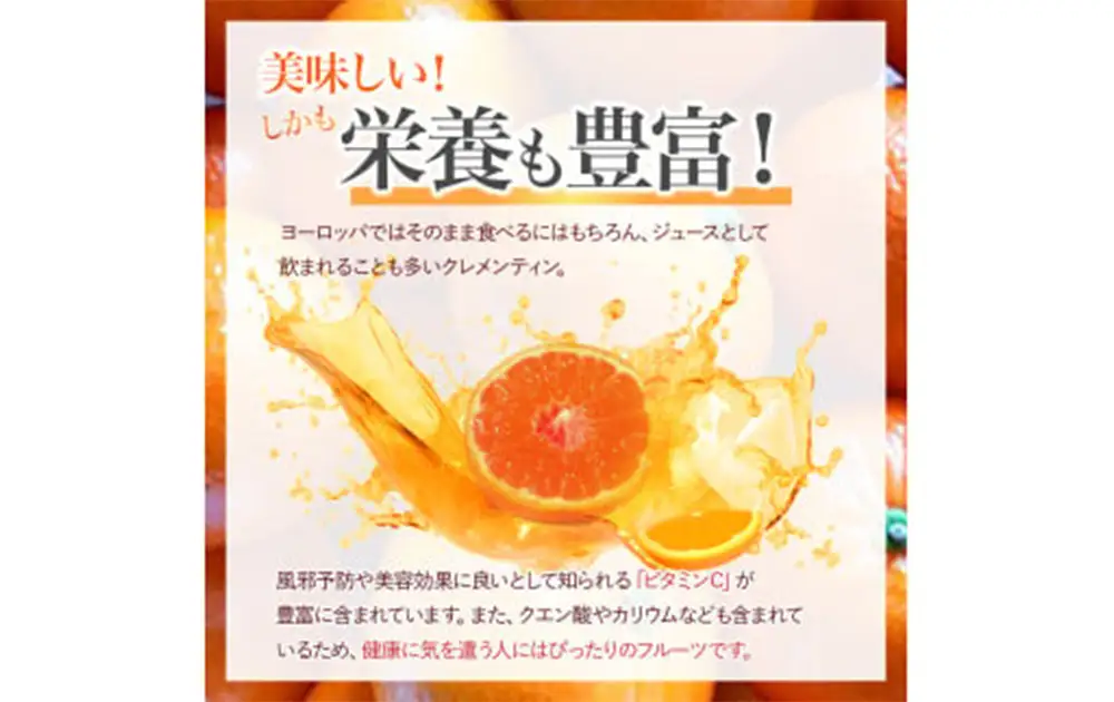 山本農園のクレメンティン 6kg （3kg × 2箱） 【2027年1月下旬-3月上旬】 クレメンティン 希少 ヨーロッパ生まれ スペイン原産 太良みかん みかん ミカン 蜜柑 フルーツ くだもの 果物 太良町 国産 甘い 美味しい 佐賀県 太良町 NC9x2