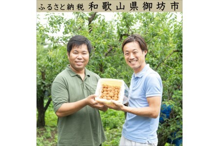 紀州南高梅 かつお梅(塩分8%) 2kg【0460-5】