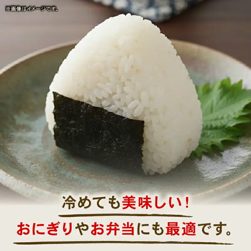 【先行予約】白米 5㎏ コシヒカリ 令和8年度 白米