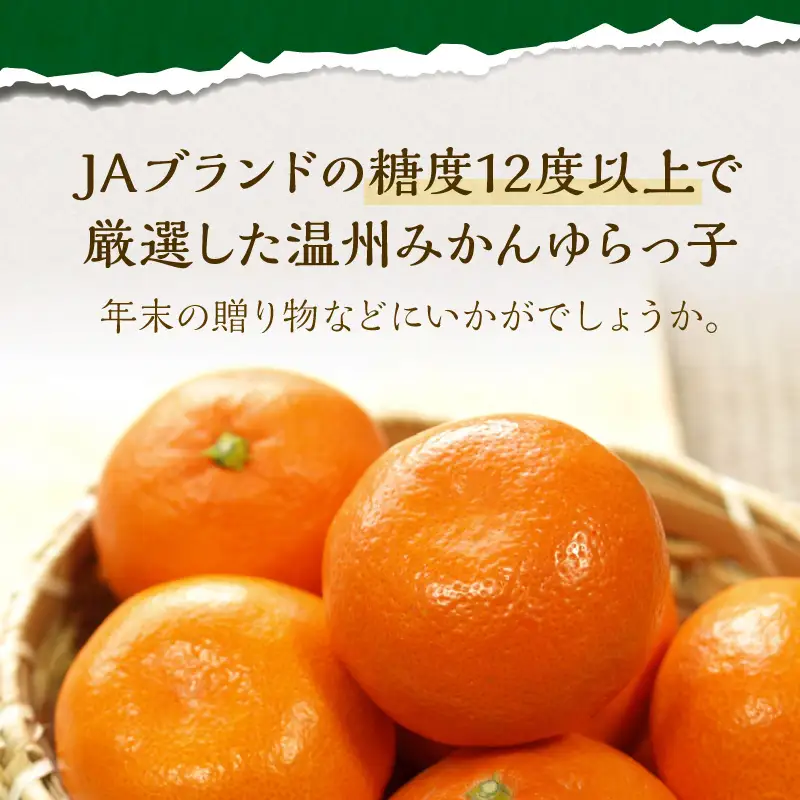 御坊市・日高川町・由良町産 温州みかん（ゆらっ子）5kg《先行予約》【0553-3】