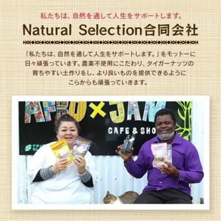 グルテンフリー クッキー ビーツ味 国産タイガーナッツ 120g×10個【1713413】