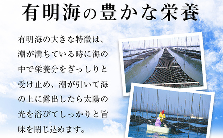 【訳あり】 有明海産 焼き海苔 全形50枚  福岡有明のり 海苔 のり 有明海苔 有明 福岡県 福岡 九州 グルメ お取り寄せ