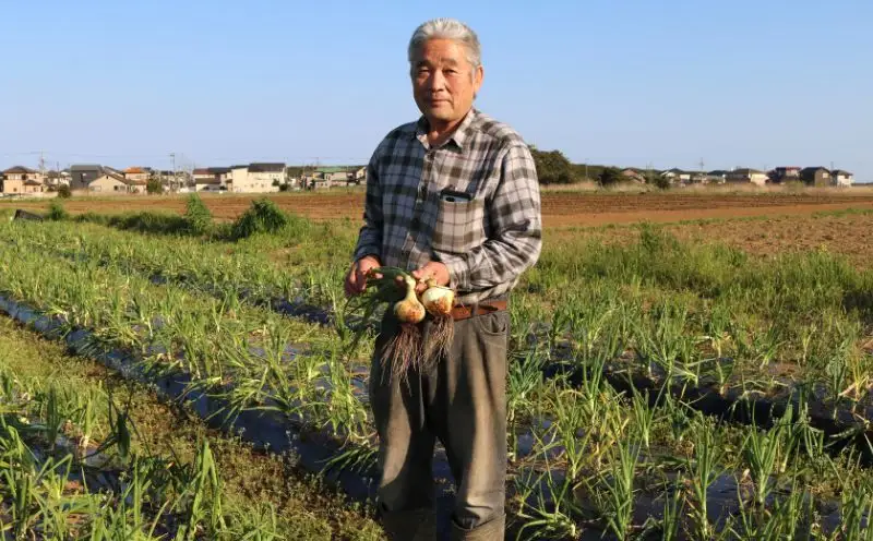 新たまねぎ 約5kg 先行予約 【たまねぎ】