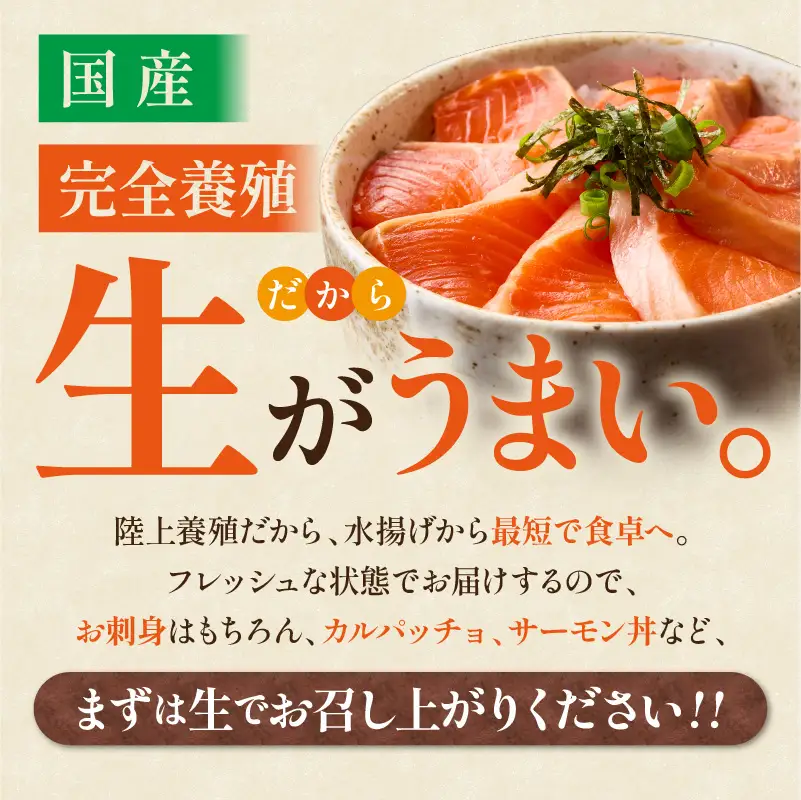 無投薬 国産 トラウトサーモン 小分け 600g以上 刺身用【宗像陸上養殖】_AS1982-00 無投薬 国産 鮭 サーモン 200 600 福岡県宗像市 宗像市 福岡 宗像
