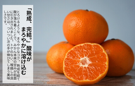 みかん 春待ち 越冬みかん 箱込7.5kg(内容量6.8kg) 等級／サイズミックス 和歌山県産 産地直送
