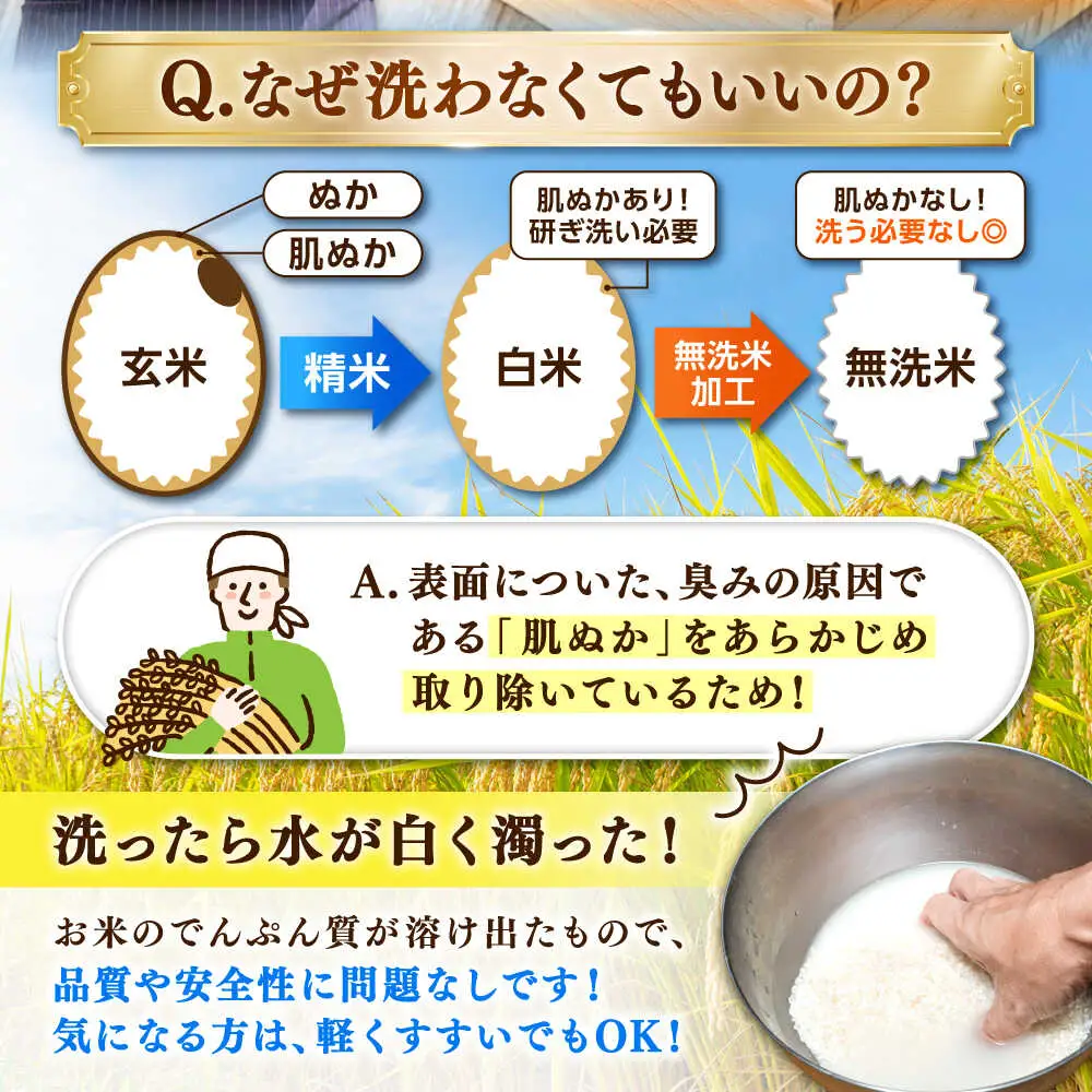 洗米と無洗米の食べ比べ！ さがびより 無洗米 3kg + 洗米 3kg 計6kg 吉野ヶ里町/大塚米穀店[FCW044]