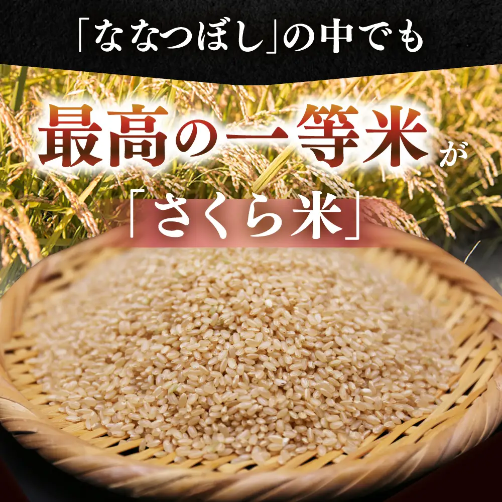【全3回定期便】 玄米 ななつぼし さくら米 10kg 北海道 玄米 [AXAB080]