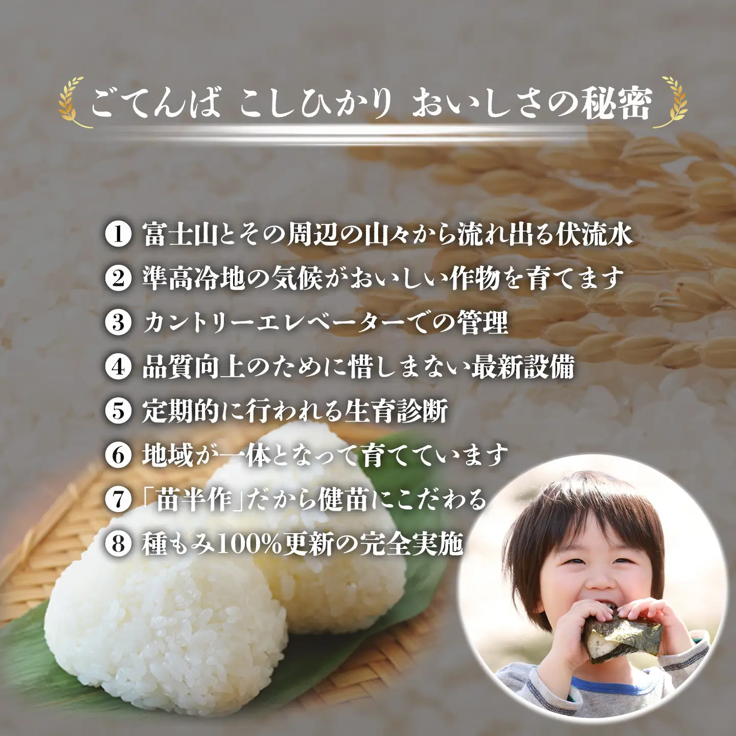 【先行予約】コシヒカリ 10㎏ 令和8年産 精米 コシヒカリ