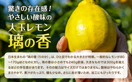 レモン 璃の香 3kg レモン