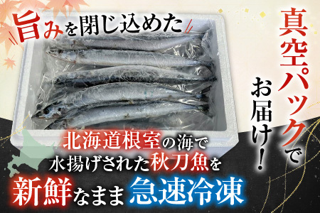 【北海道根室産】冷凍さんま60尾 D-30002