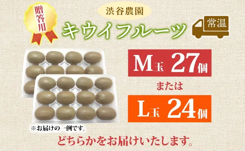キウイフルーツグリーン渋谷農園贈答用キウイフルーツ【L玉24個・M玉27個】