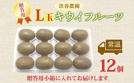 キウイフルーツ渋谷農園グリーン 贈答用小箱 キウイフルーツ【L玉12個入り】