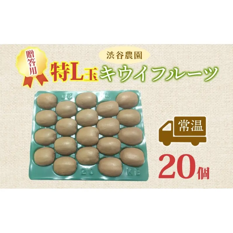 キウイフルーツグリーン渋谷農園贈答用キウイフルーツ【特L玉20個入】