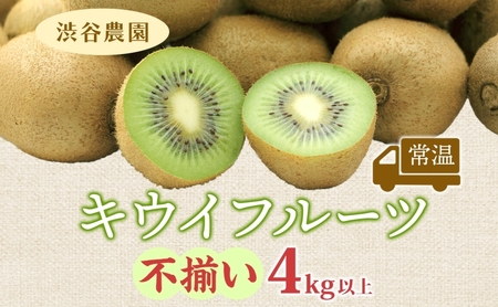 渋谷農園 キウイフルーツ（グリーン）不揃い 4kg以上 キウイ グリーン グリーンキウイ フルーツ 栄養 ビタミンC 食物繊維 酵素 カリウム 葉酸 ビタミンE 低カロリー 果実 果物 お取り寄せ 埼玉県 蓮田市