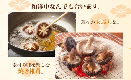 しいたけ800g (100g×8) 菌床 肉厚 生しいたけ ジューシー 小分け 食物繊維 国産 お取り寄せ グルメ こだわり しいたけ 椎茸 シイタケ きのこ ヘルシー エコサンファーム 送料無料 埼玉県 蓮田市