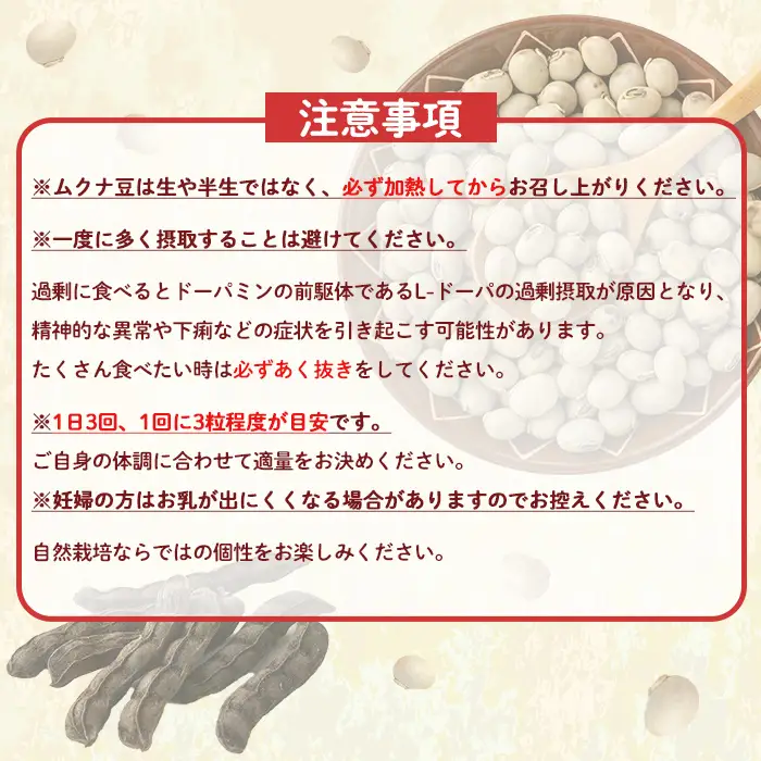 ムクナ豆 100g 八升 ハッショウマメ 【永濱農園】n427