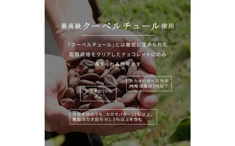 【訳あり】割れチョコ スイート 360g(180g×2袋)クーベルチュール使用