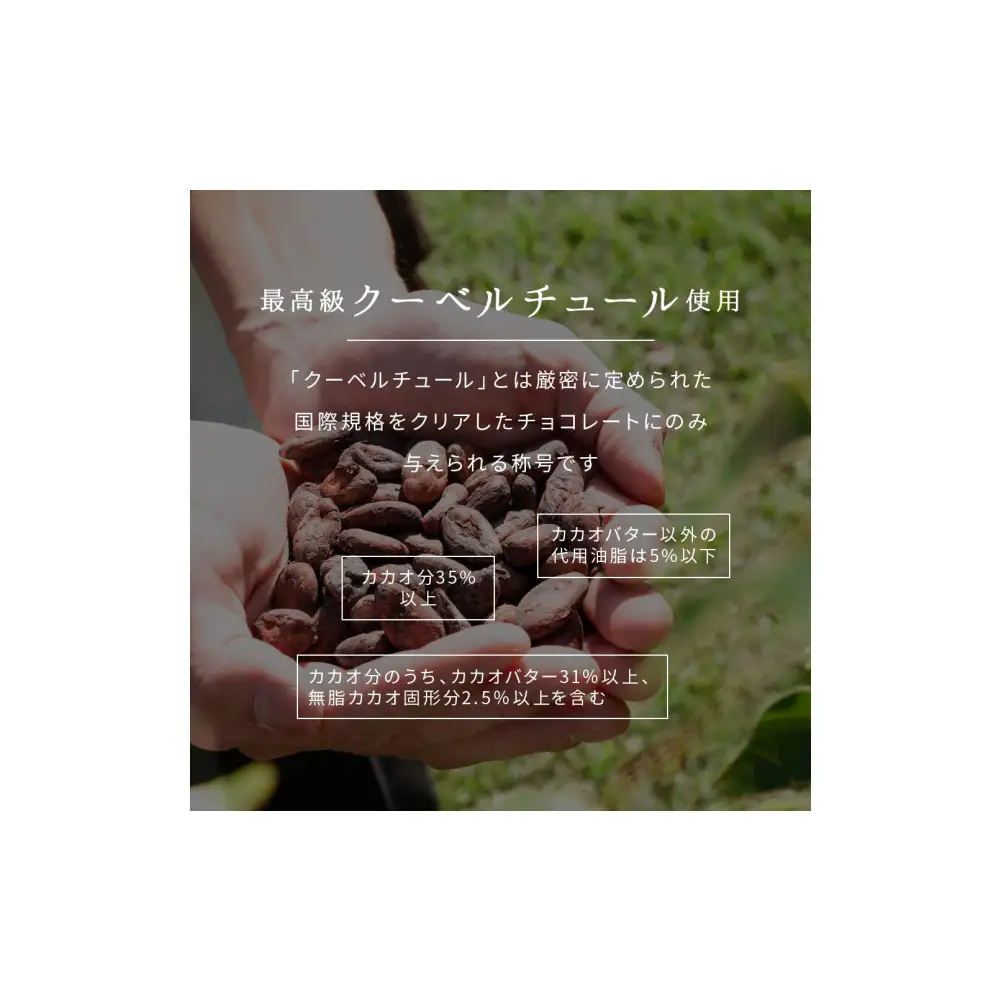 【訳あり】割れチョコ ホワイト 360g(180g×2袋)クーベルチュール使用