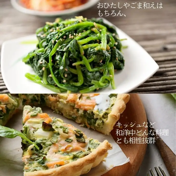 ほうれん草 2kg 10袋 ほうれん草 ほうれんそう
