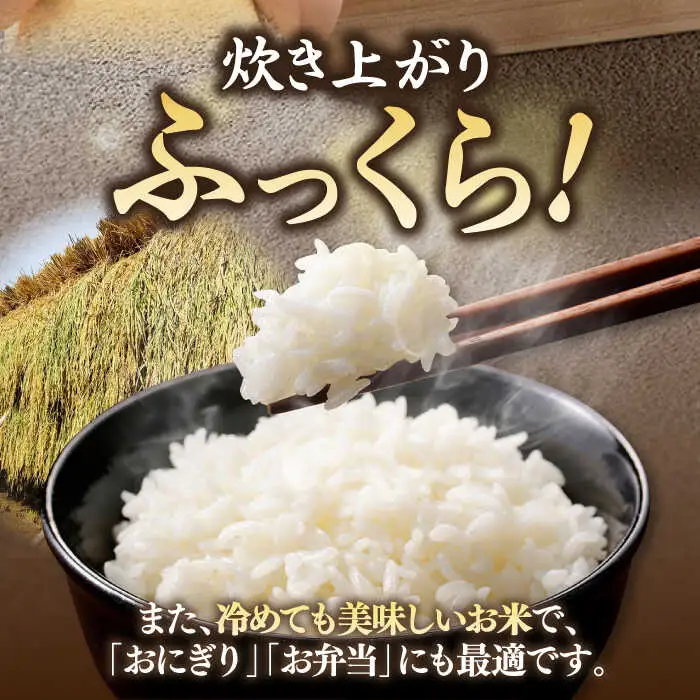 壱岐産米 こしひかり 5kg [JDW061] コシヒカリ 米