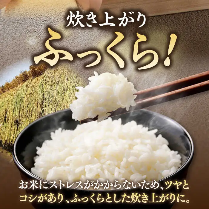 壱岐産米 にこまる 5kg [JDW152] 米 白米