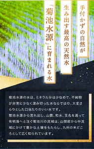 令和7年産 熊本県産 くまさんの輝き 無洗米 30kg 米 こめ