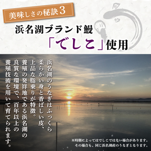 【2026年9月～順次発送】 うなぎ蒲焼 2人前 2尾 冷蔵 三島名物 老舗 鰻問屋 うなぎ 蒲焼き 鰻 ウナギ 真空パック 浜名湖 土用丑の日 贈答用 惣菜 うな重 うな丼 伝統 贈り物 鰻料理 ウナギの蒲焼 和食 浜名湖うなぎ 山本実生商店 三島市 静岡県