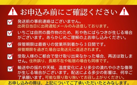 もういっこ イチゴ 大粒 銚子産 【1月下旬～4月下旬頃発送】  岩瀬農園