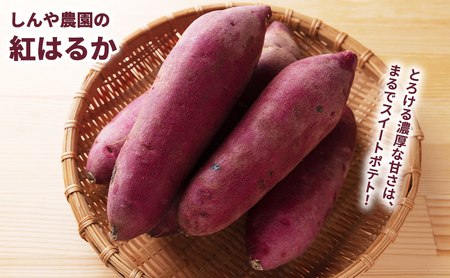 根菜セット しんや農園 じゃがいも・かぼちゃ・さつまいも 北海道産 根菜セット【計9kg】