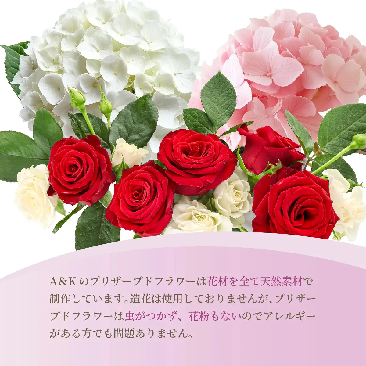 プリザーブドフラワー まめひな