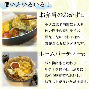 お魚フライ 5品セット 約900g BTAP028