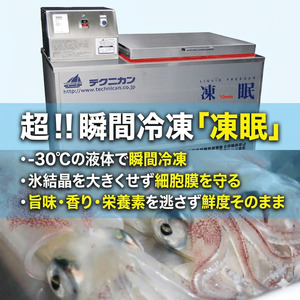 活きイカ姿造り 150g 阿武町産