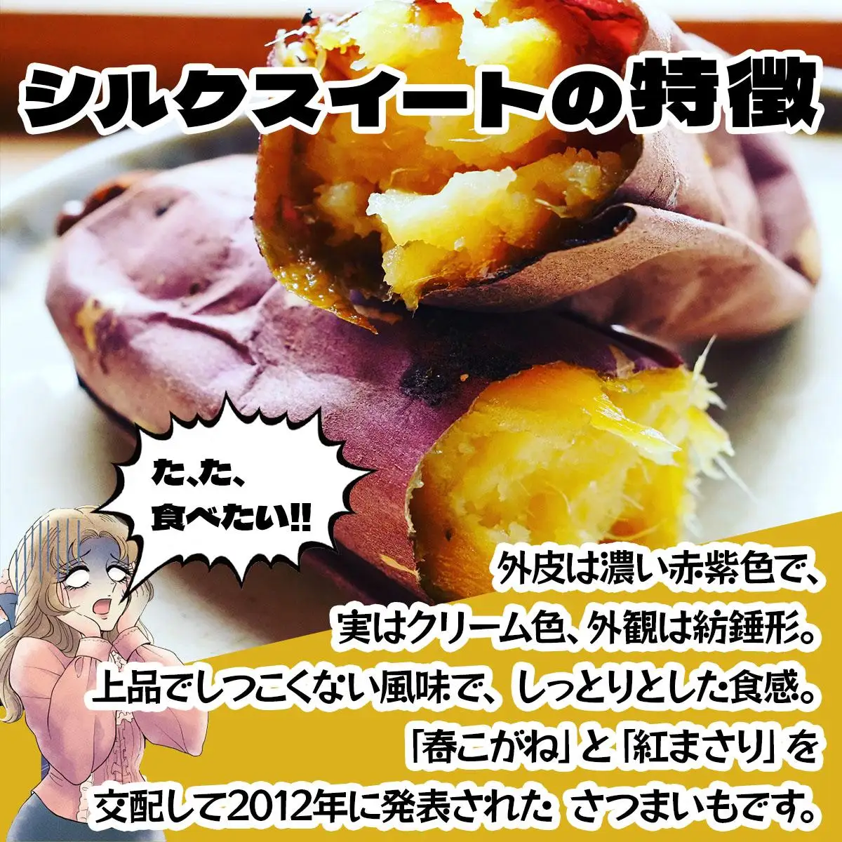 伊達の畑から そのまんま シルクスイート 厚切りさつまいもフライ ２パックセット【upd-001】