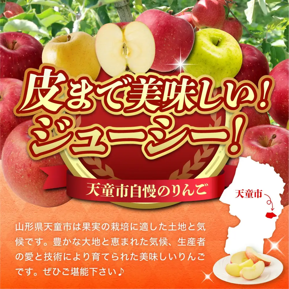 りんご シナノゴールド 3kg フルーツ 果物 山形 リンゴ