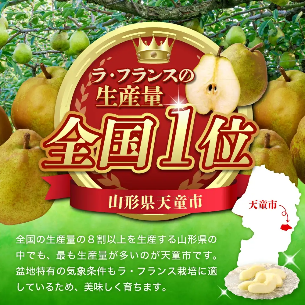 ラ・フランス & バラード 詰合せ 5kg 山形 果物 フルーツ