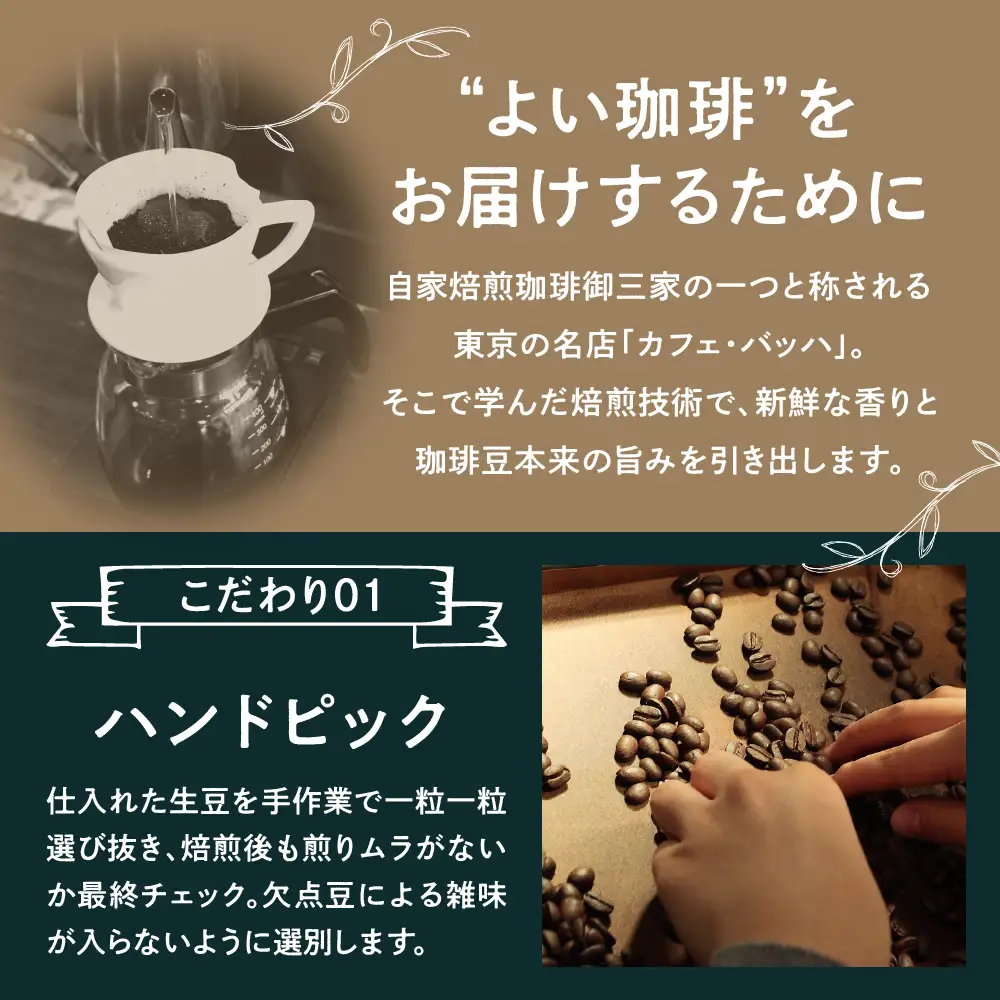 ドリップコーヒー【7通りの香り、7通りのしあわせ】7days Drip Selection(2WEEK SET) 7種類×各2袋 計14袋 自家焙煎珈琲 カフェグート