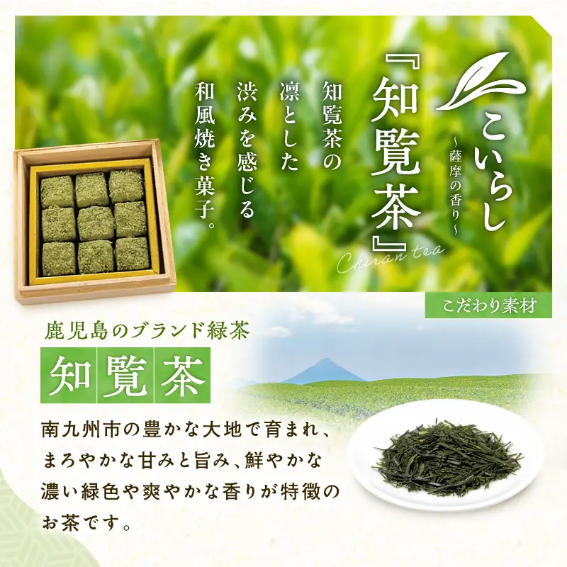 こいらし（知覧茶） K300-010_01 お茶 茶 知覧茶 焼菓子 菓子