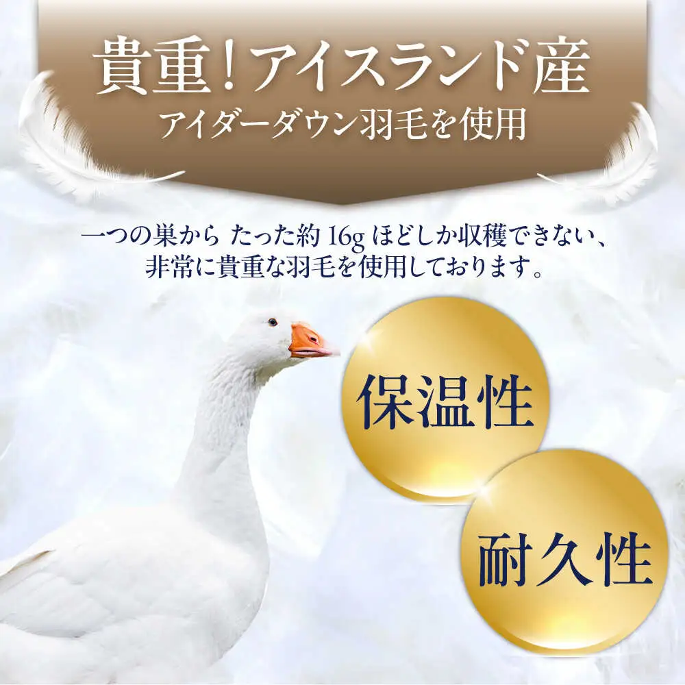 【お中元対象】【糸島羽毛ふとん】【アイスランド特別保護鳥使用】【シングル】 羽毛 布団 本掛け ベージュ アイダーダウン95% 糸島市 / 株式会社三樹 / 布団 羽毛[AYM023]