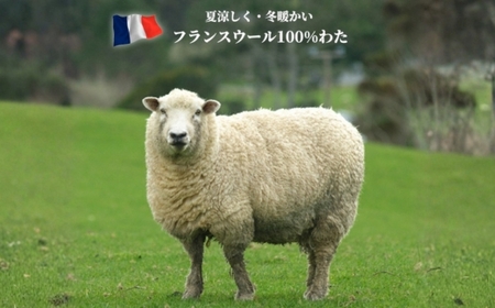 【クィーンサイズ】フランスウール100% 羊毛わたベッドパッド（160×200cm） W100BP-Q ｜ 寝具 睡眠 快適 熟睡 吸湿 ベッド 無地 羊毛 ウール パッド