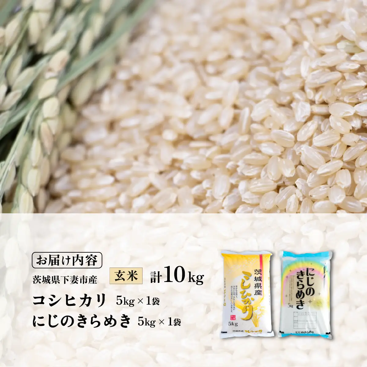 コシヒカリ  食べ比べ 10kg コシヒカリ にじのきらめき 令和7年産 玄米