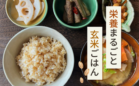【玄米】5kg コシヒカリ 令和7年産 玄米【長谷川農園】 [m22-a014]