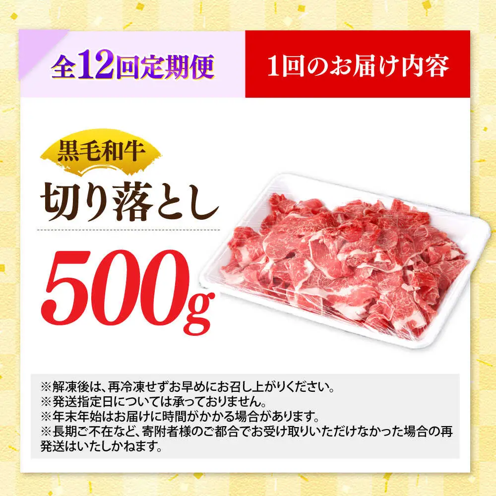 【12回定期便】国産 黒毛和牛 熟成肉 切り落とし 500g / 小分け 国産牛 お肉 牛肉 切落し 冷凍 焼肉 すき焼き / 南島原市 / ふるさと企画[SBA099]