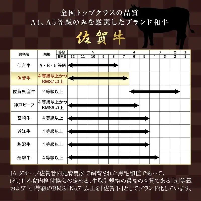 佐賀牛 サーロインステーキ250g×2枚(合計500g) ステーキ