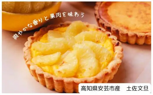 スイーツキッシュ2種セット【6ヵ月定期便】