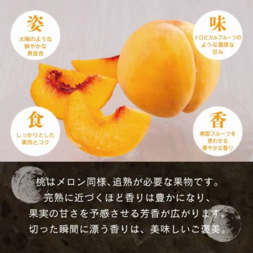 【先行予約】 白桃・黄金桃食べ比べ6玉【8月下旬～9月上旬発送】【021-a025】